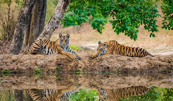 best places for summer vacation in mp