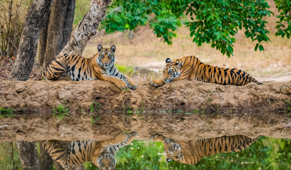 madhya pradesh picnic spot 