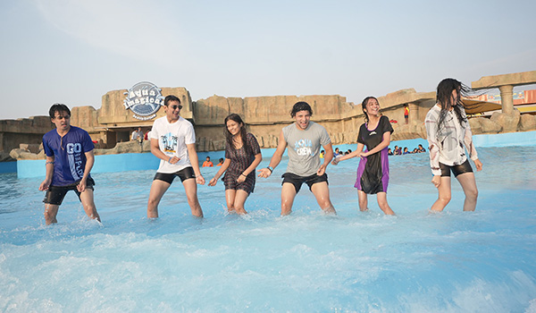 holi the color festival